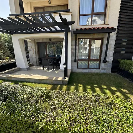 Oasis Club - 